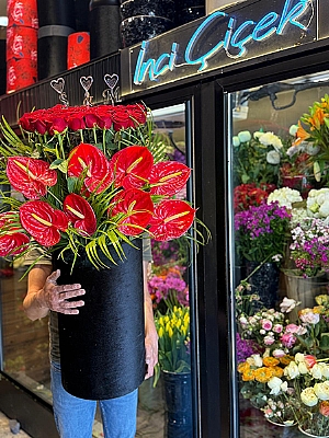 Kutuda Krmz Gl ve Antoryum